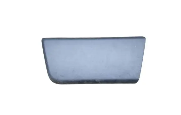 Front door trim (molding)