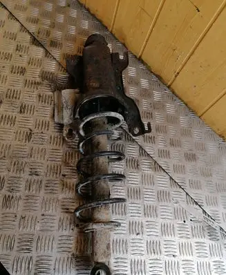 Rear shock absorber/damper
