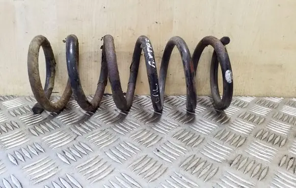 Opel Antara Rear coil spring