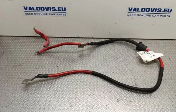 Fiat Ducato Positive cable (battery) 1362688080