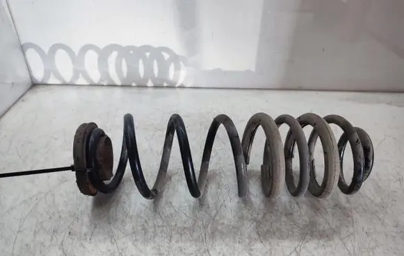 Ford Ecosport Rear coil spring