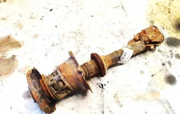 Renault Scenic I Front shock absorber/damper