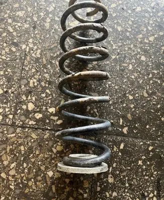 Skoda Yeti (5L) Rear coil spring