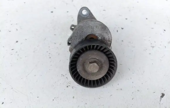 Opel Insignia A Generator/alternator belt tensioner 55562864