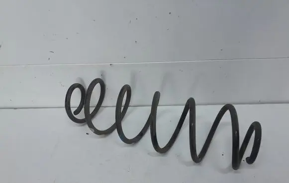 Rear coil spring
