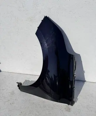 Renault Scenic IV - Grand scenic IV Fender 