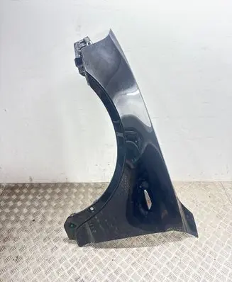Fender