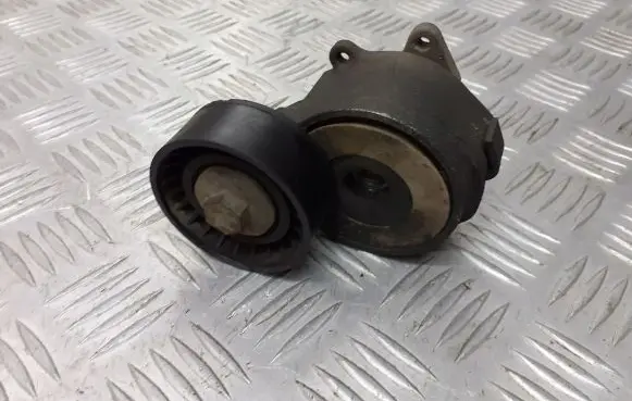 Opel Zafira B Alternator belt tensioner pulley 55190813