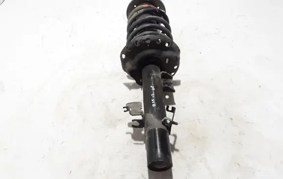 Land Rover Discovery Sport Front shock absorber/damper FK7218K001AC