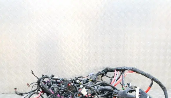 Tesla Model 3 Other wiring loom 256796407B