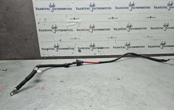 Citroen Jumper Positive cable (battery) D169 05032014 65273738