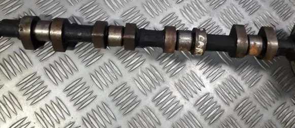 Citroen Xsara Picasso Camshaft 
