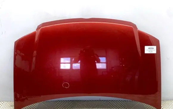 Engine bonnet/hood