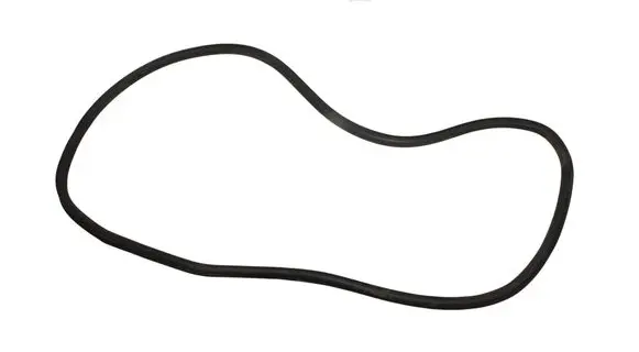 Cupra Born Rubber seal front coupe door 10A867911D