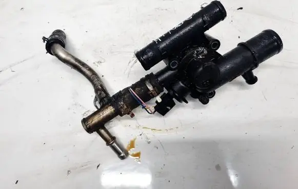 Suzuki Grand Vitara II Engine coolant pipe/hose 