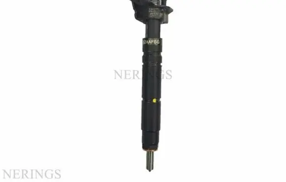Chrysler 300 - 300C Fuel injector 0445115076 0986435355