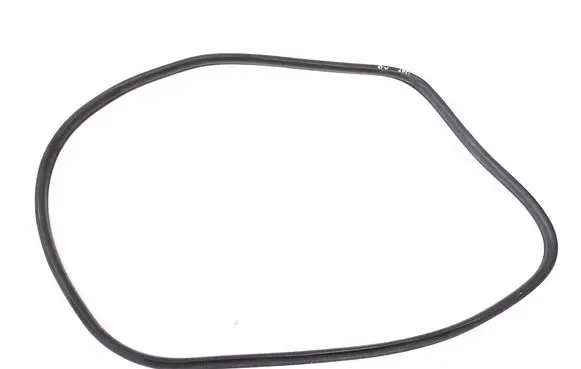 Mini Cooper Countryman F60 Rear door rubber seal (on body) 7390112