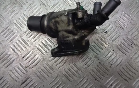 Thermostat/thermostat housing