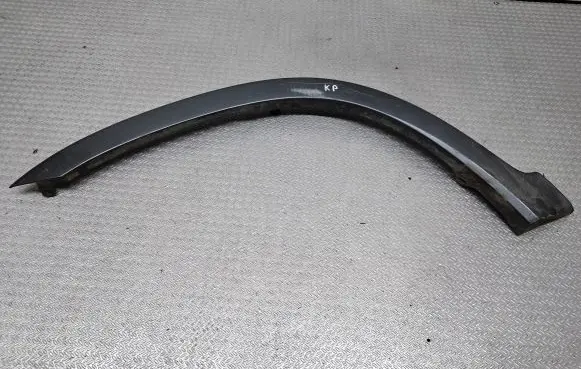 Fender trim (molding)