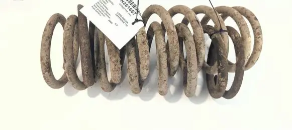 Rear coil spring