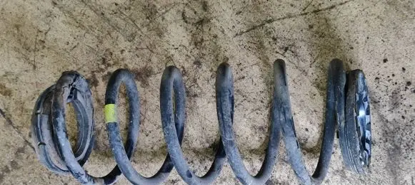 Smart ForFour I Rear coil spring