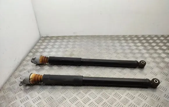 Ford Ecosport Rear shock absorber/damper GN1518080A3B