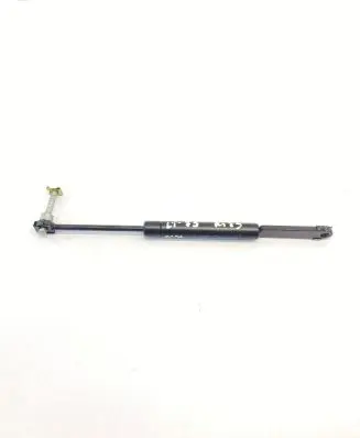 Tailgate/trunk strut/damper