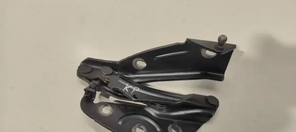 Volkswagen Phaeton Engine bonnet/hood hinges 3D0823301D