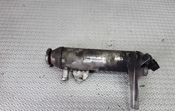 EGR valve cooler