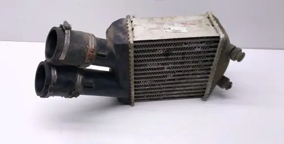 Renault Scenic I Intercooler radiator 8493968