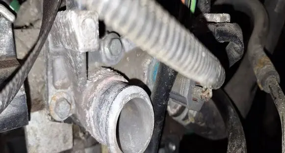 Ford Fiesta Engine coolant pipe/hose