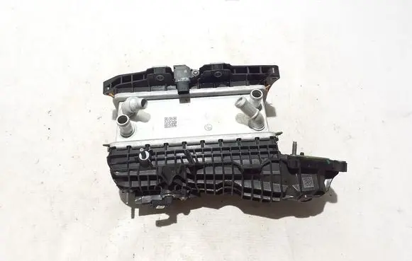 Dacia Duster Intake manifold 100013728R