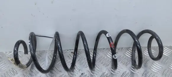 Citroen C4 Cactus Rear coil spring
