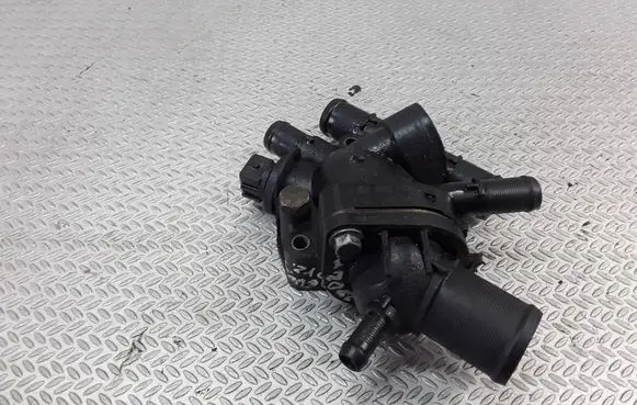 Thermostat/thermostat housing