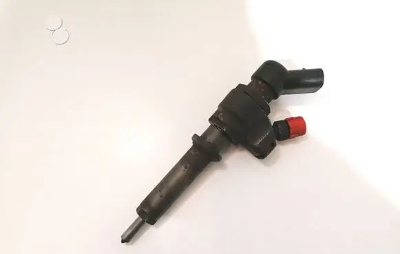 Peugeot 406 Fuel injector 9636819380