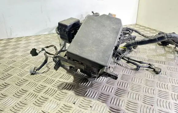 Suzuki SX4 S-Cross Other wiring loom