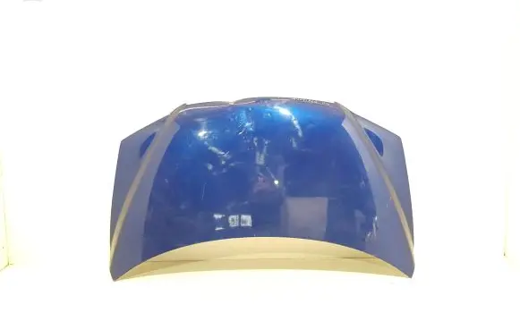 Fiat Multipla Engine bonnet/hood