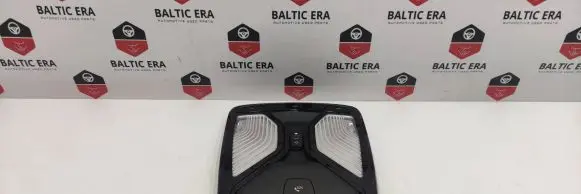 BMW 5 G30 G31 Front seat light 7945142 28599328 2171990898