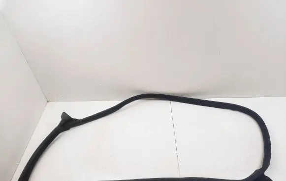 Tesla Model 3 Rear door rubber seal (on body) 156223