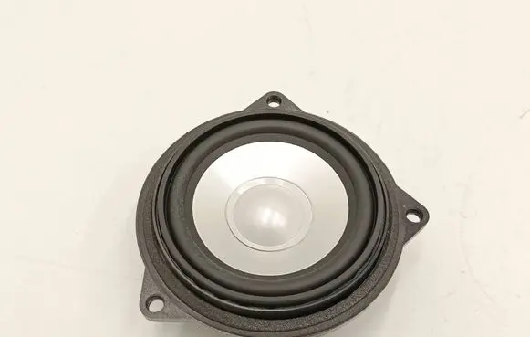 BMW X1 E84 Front door speaker 6945412