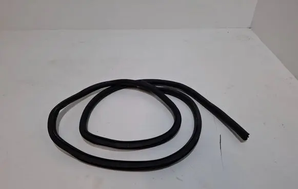 Ford Mustang Mach-E Rubber seal rear door LJ8BR20708AD