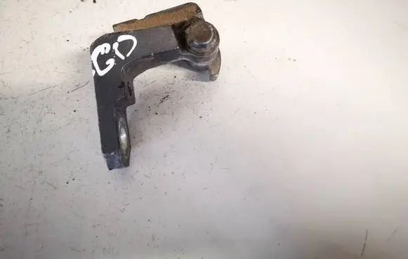 Rear door lower hinge