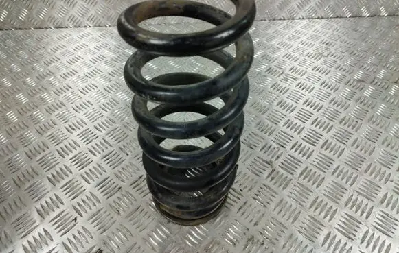 Ford Edge II Rear coil spring G2GC5560DXC 048PA