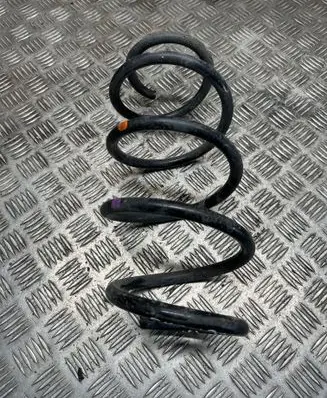 Nissan Qashqai Front coil spring 