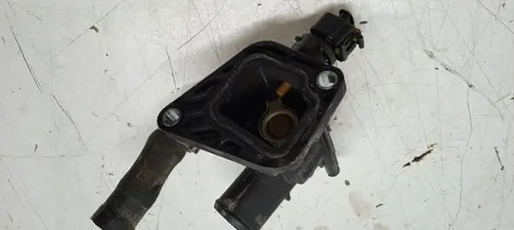 Thermostat/thermostat housing