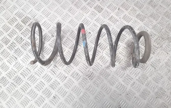 Peugeot 406 Front coil spring