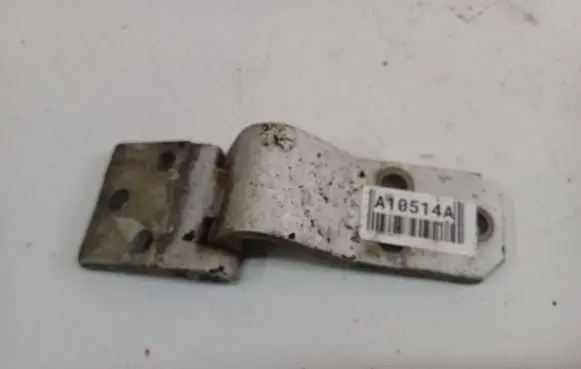 Rear door lower hinge