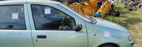 Fiat Punto (188) Front door