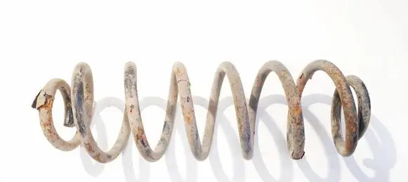 Rear coil spring