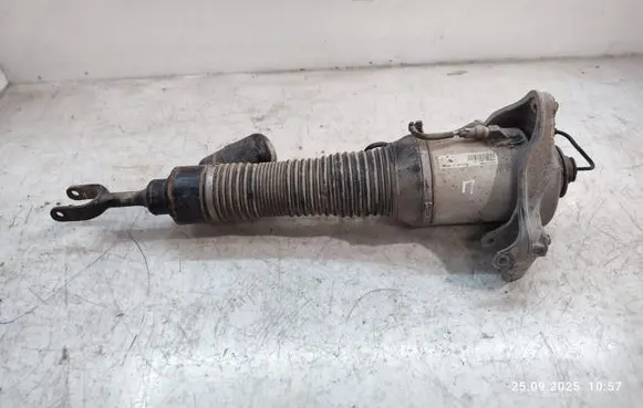 Volkswagen Phaeton Front air suspension shock absorber 3D0616040